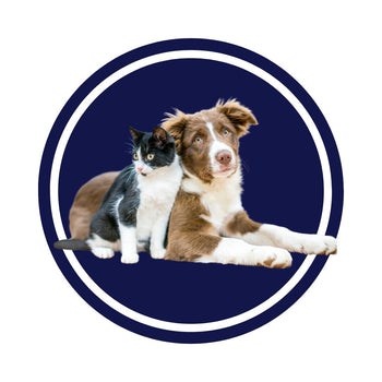 Mascotas